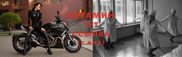 трава Армянск
