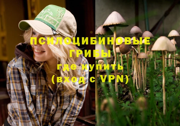 не бодяженный Аркадак